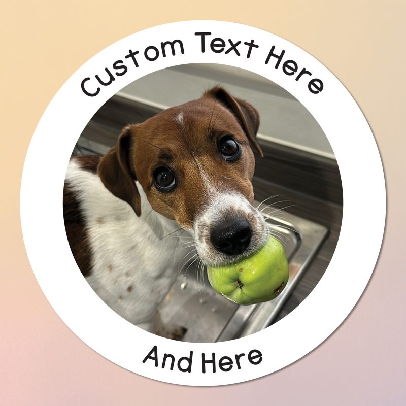 Custom logo with text